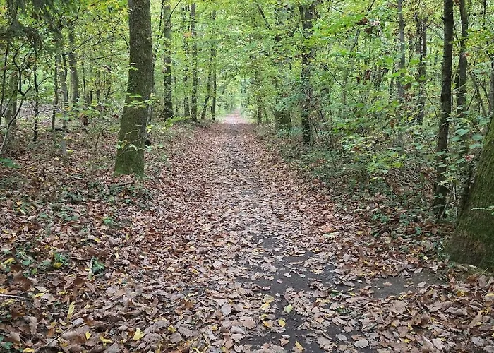Holiday home Detendez-vous Au Village De Theding